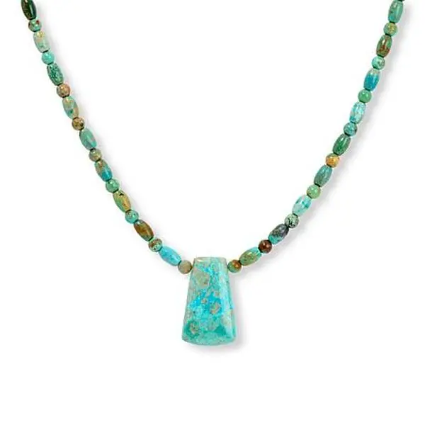 Mine Finds by Jay King Spruce Mountain Turquoise Sterling Silver Drop Necklace