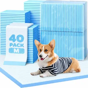 Puppy Pads Super Absorbent & Spill-Proof Pee Pads for Dogs 24" x 24" 6-Layer Quick-Dry 100 Packs Extra Large Peepads for Floors Furniture Vehicle