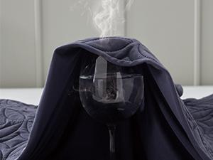 【BEDLORE】Big Copper Coin Pattern Waterproof Mattress Cover with Fitted Sheet, Soft & Breathable Non-Slip Design, Deep Pocket Fit for Bedroom & Home Use