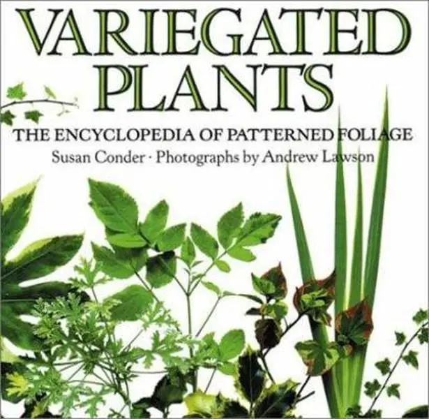 USED-Variegated Plants: A Gardener's Index to Patterned Foliage by Susan Conder (Paperback)