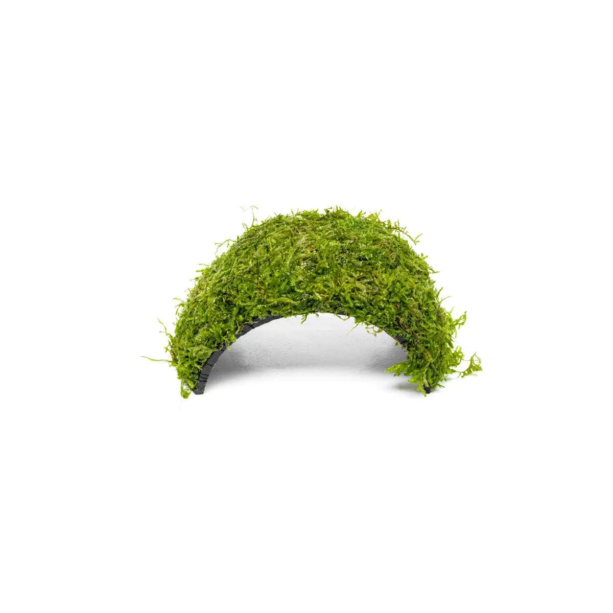 Christmas Moss on Coconut Shell Bridge