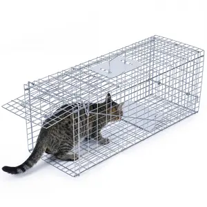Live Feral Cat Trap, 33-Inch Humane Cat Cage, Foldable Live Cat Trap with Pedal Triggers for Stray Cats, Raccoons, Squirrels, Skunks, Catch and Release