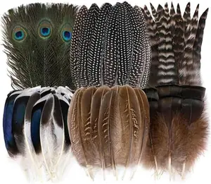 24pcs Natural Feathers Bulk 6 Styles Assorted Peacock, Pheasant, Turkey Feathers for Craft DIY Jewelry Hat Wedding Home Party Decoration