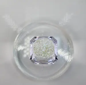 Dream Slipper - Loose pigment for face & body