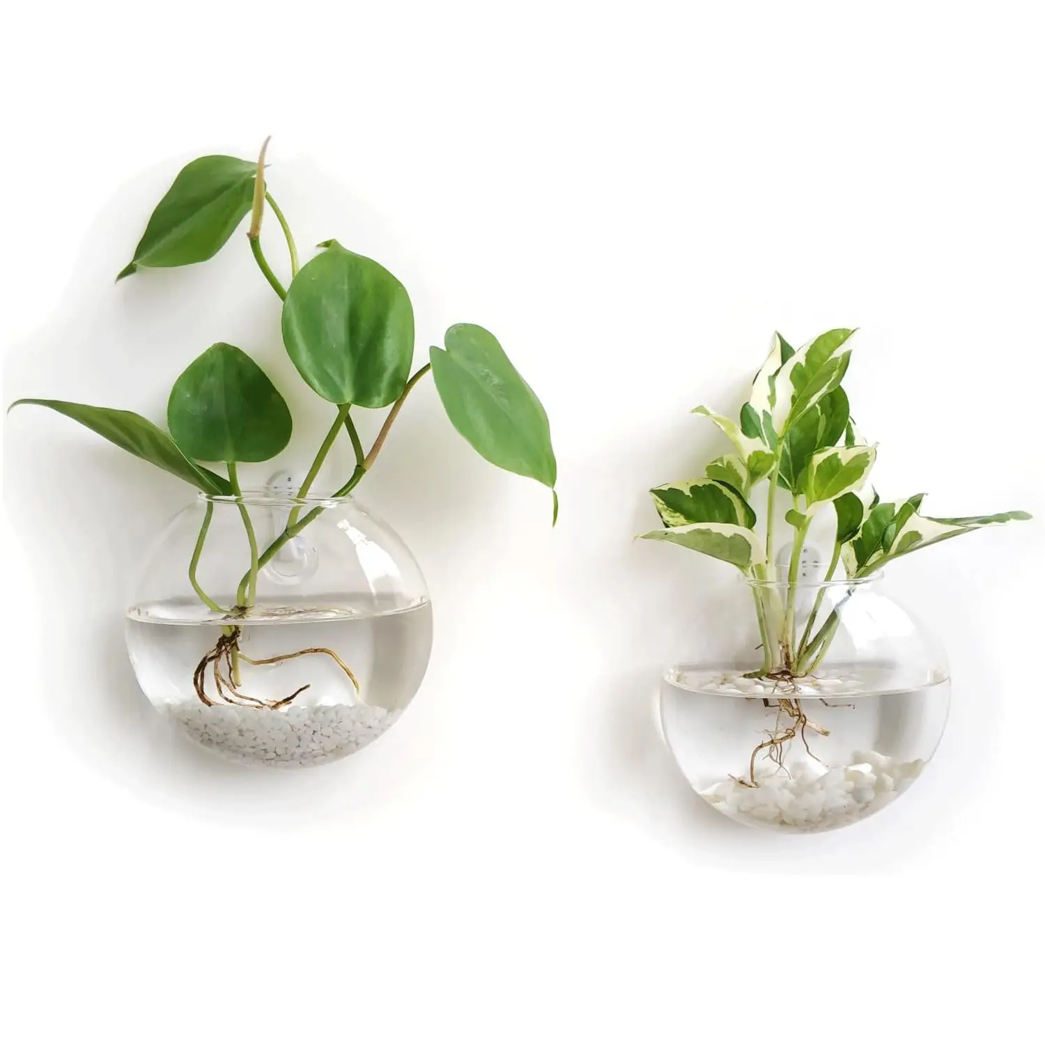 2 Pcs Wall Hanging Glass Terrarium Planter - Space Saving Plant Holders, Oblate Hydroponic Flower Vase for Bathroom, Home Office Wall Decor, Space Saving Planter