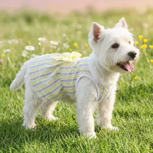 Designer dog clothes