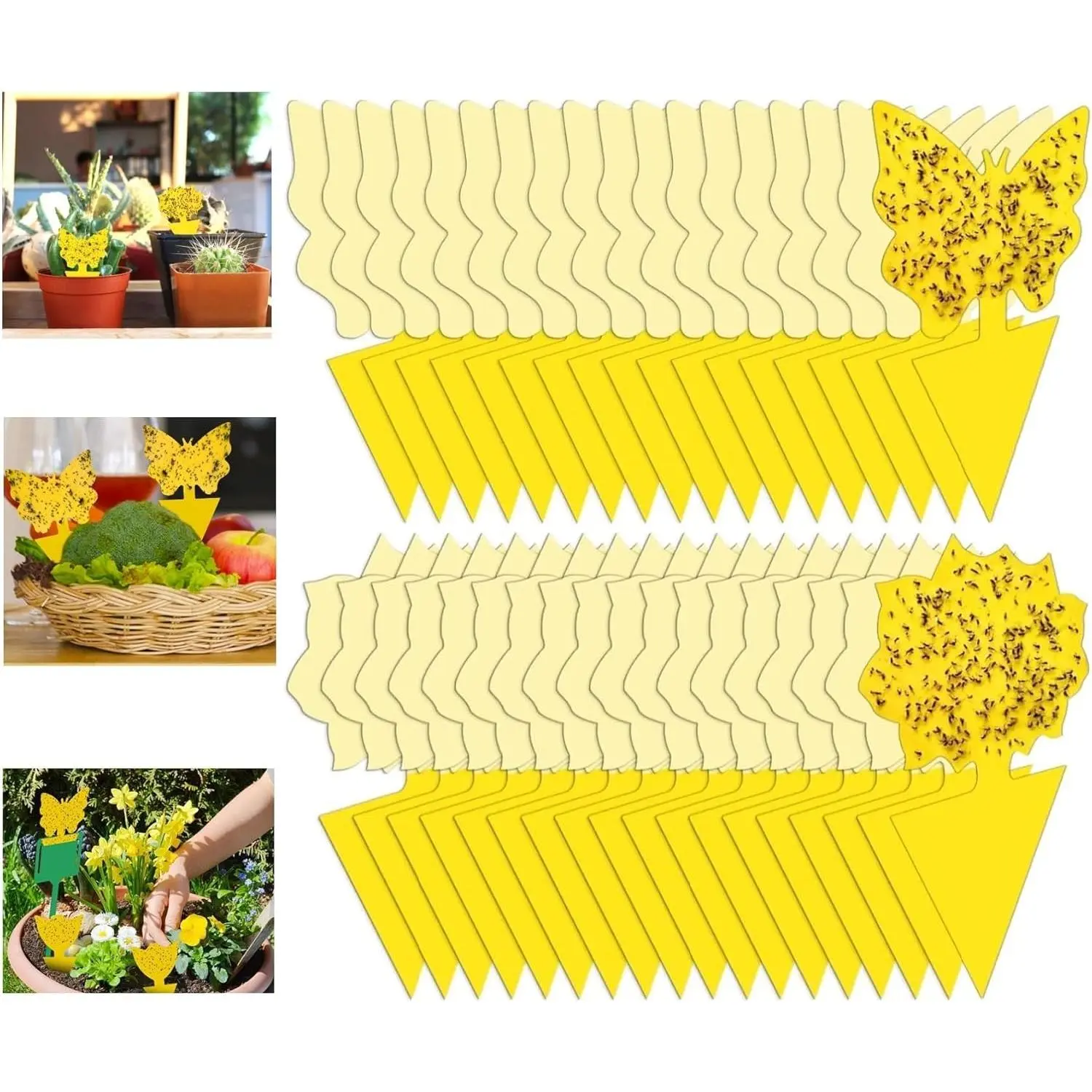 60 Pack Fruit Fly Trap for Indoor, Gnat Traps for House Indoor, Fungus Gnat Killer Sticky Traps for Plants, Mosquitoes, Flying Insects