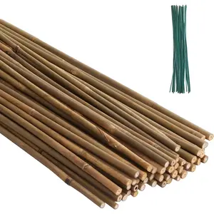 50Pack  Stakes for ,  Poles ,  Stakes for Tomato, Bean, ,Trees Potted and Climbing , Garden Stakes 4.8FT Height