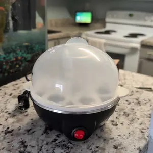 Yonsya Rapid Egg Cooker Electric 6 Eggs Capacity 2025 New Smart Egg Cooker with Auto Shut Soft Medium Hard Boiled Poacher Omelet Maker Stainless Steel Sleek Design Egg Steamer