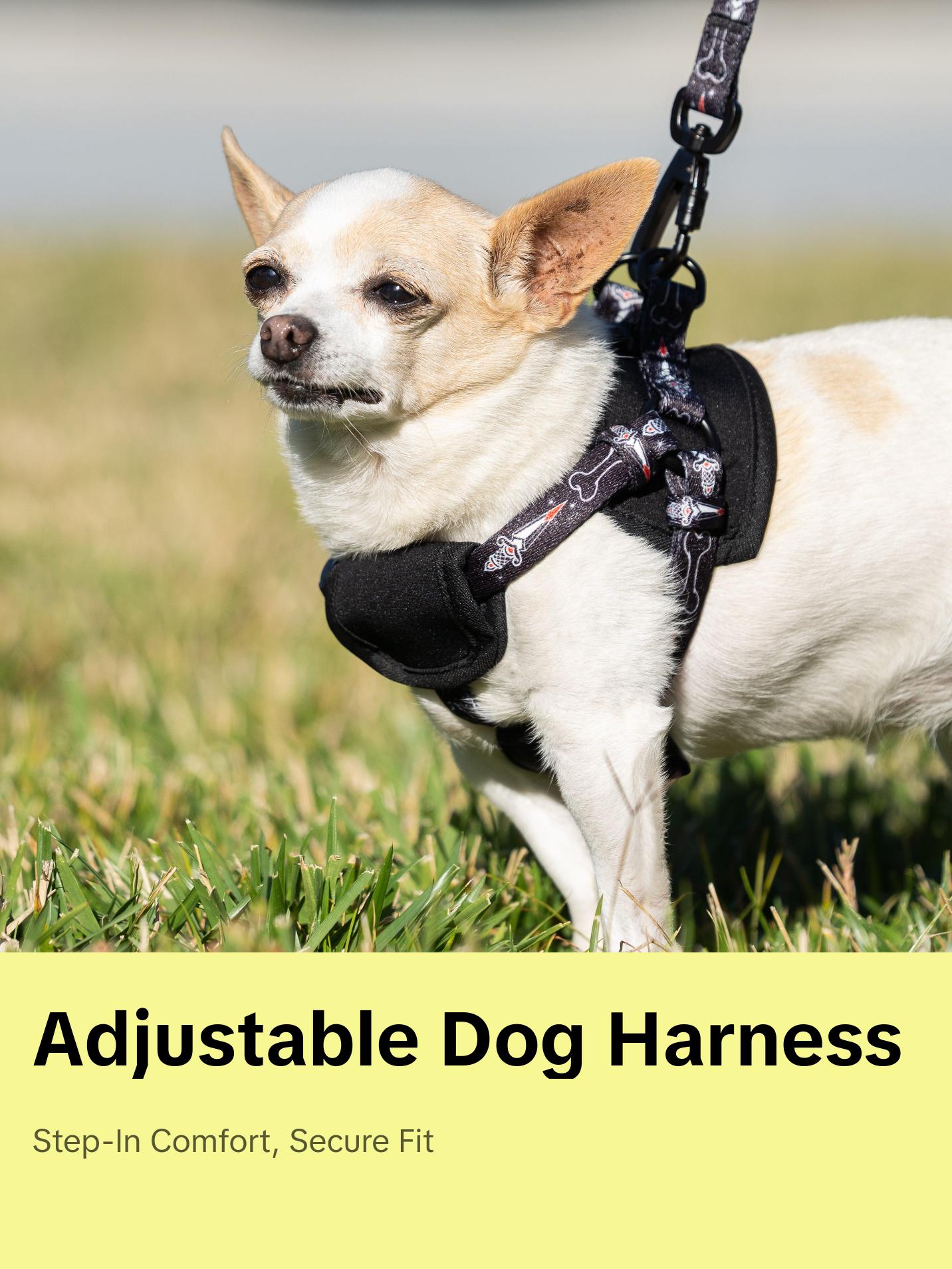 TRIANGLE HARNESS - DAGGER X BONE