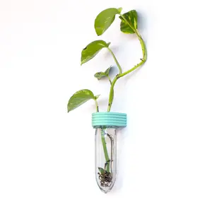 Roota Planters Upcycled Plant Propagation Tube 5.3", Wall & Fridge Mounted Indoor Planter for Cuttings, 3D Printed Eco-Friendly Small Space Decor