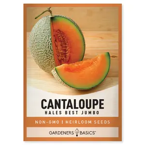 Hales Best Jumbo Cantaloupe Seeds