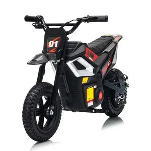 GARVEE 24V Kids Electric Mini Dirt Bike for Ages 10+, 350W Motor, 12" Fat Tires, Up to 13.7 MPH, Rear Suspension, Hand Brake, 130 lbs Max Load, Ride-On Toy for Boys & Girls, Mini Dirt Bikes