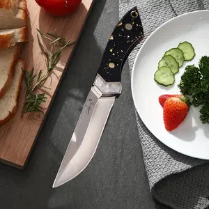 Professional cutting knife with sheath, stainless steel boning knife, fish knife, kitchen chef's knife, barbecue knife, kitchen convenient multi-purpose knife, for kitchen camping barbecue cooking, gift for husband and friends