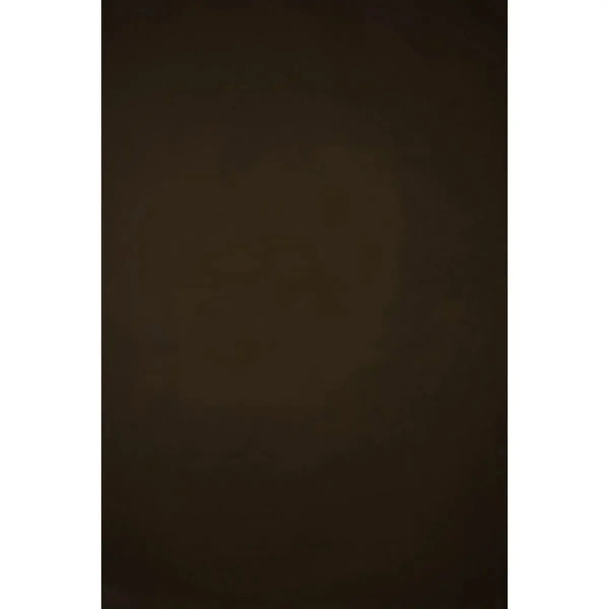 Low-Texture Canvas Backdrop, Gravity Backdrops Italian Cotton Hand-Painted Classic Collection, 6.9x8.9ft, Brown (for Cameras & Photography Accessories)