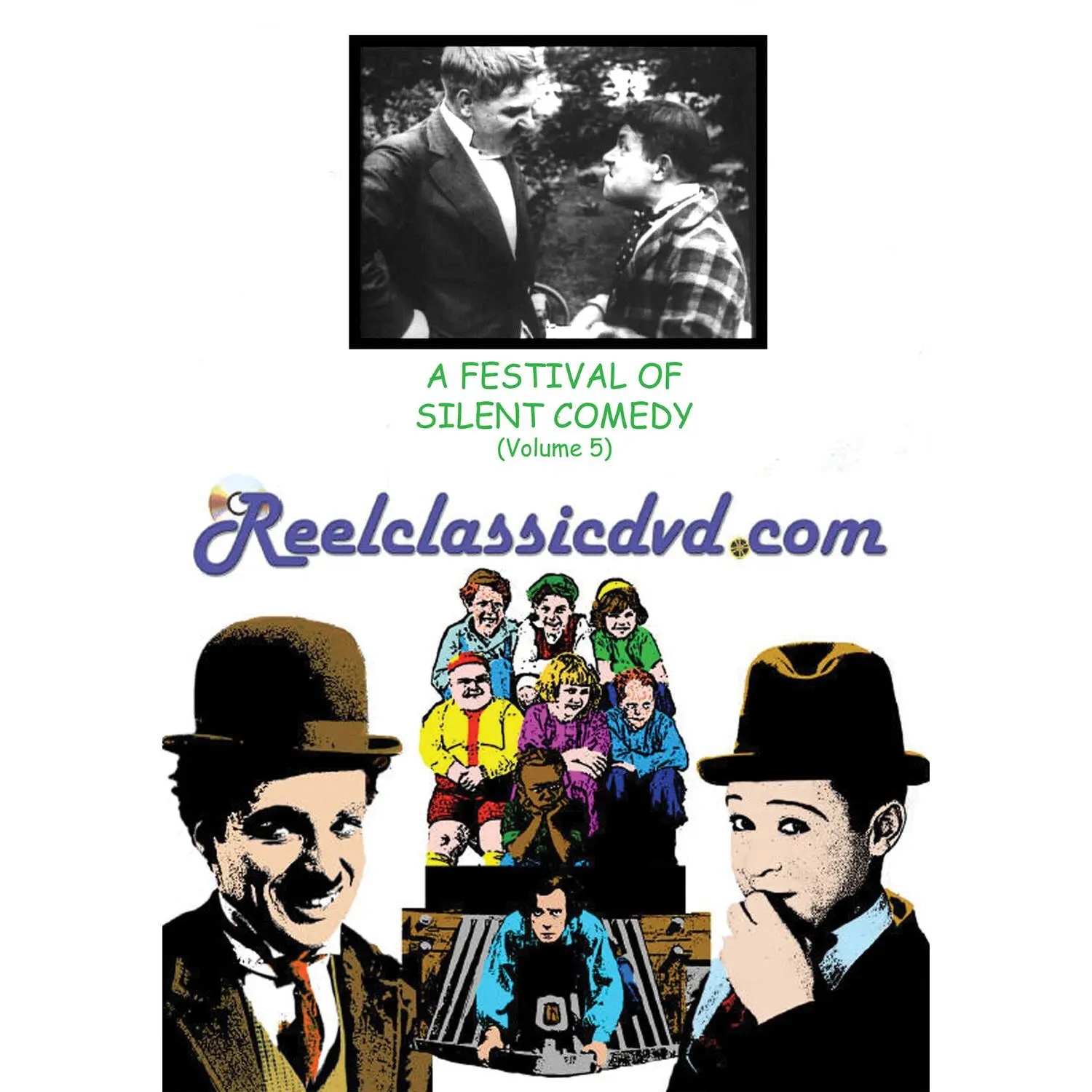 A Festival of Silent Comedy, Volume 5  [DVD Video Disc]