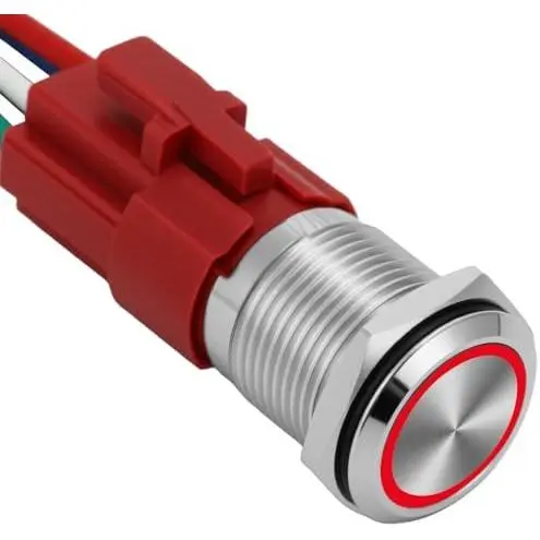 Silver Shell-Red