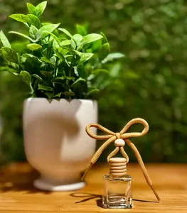 Hanging Car Diffuser