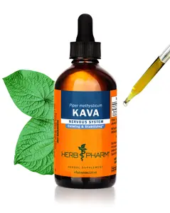 Organic Kava Root Liquid Extract for Stress Support & Relaxation: Vegan Kava Extract, Non-GMO Kava Kava Tincture for Calm & Relaxed Mood, Gluten-Free*