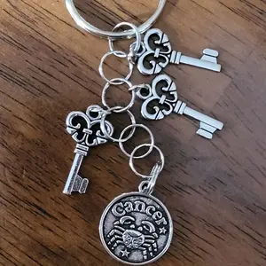 Cancer Keychain with Keyring and Key Pins, Silver Finish, Keyring Attachment
