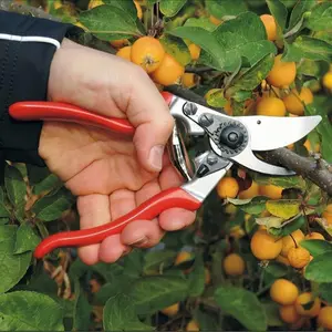 Felco F-13 Pruning Shears – 10.6" Garden Clippers with Dual-Hand Use & 30mm Cut | Hand Pruners for Gardening | Garden Tool Cutter with Bypass & Anvil Blades, Forged Aluminum Handle, Large Hand Fit