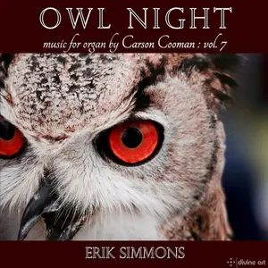 Cooman / Simmons - Owl Night  [COMPACT DISC - CD]