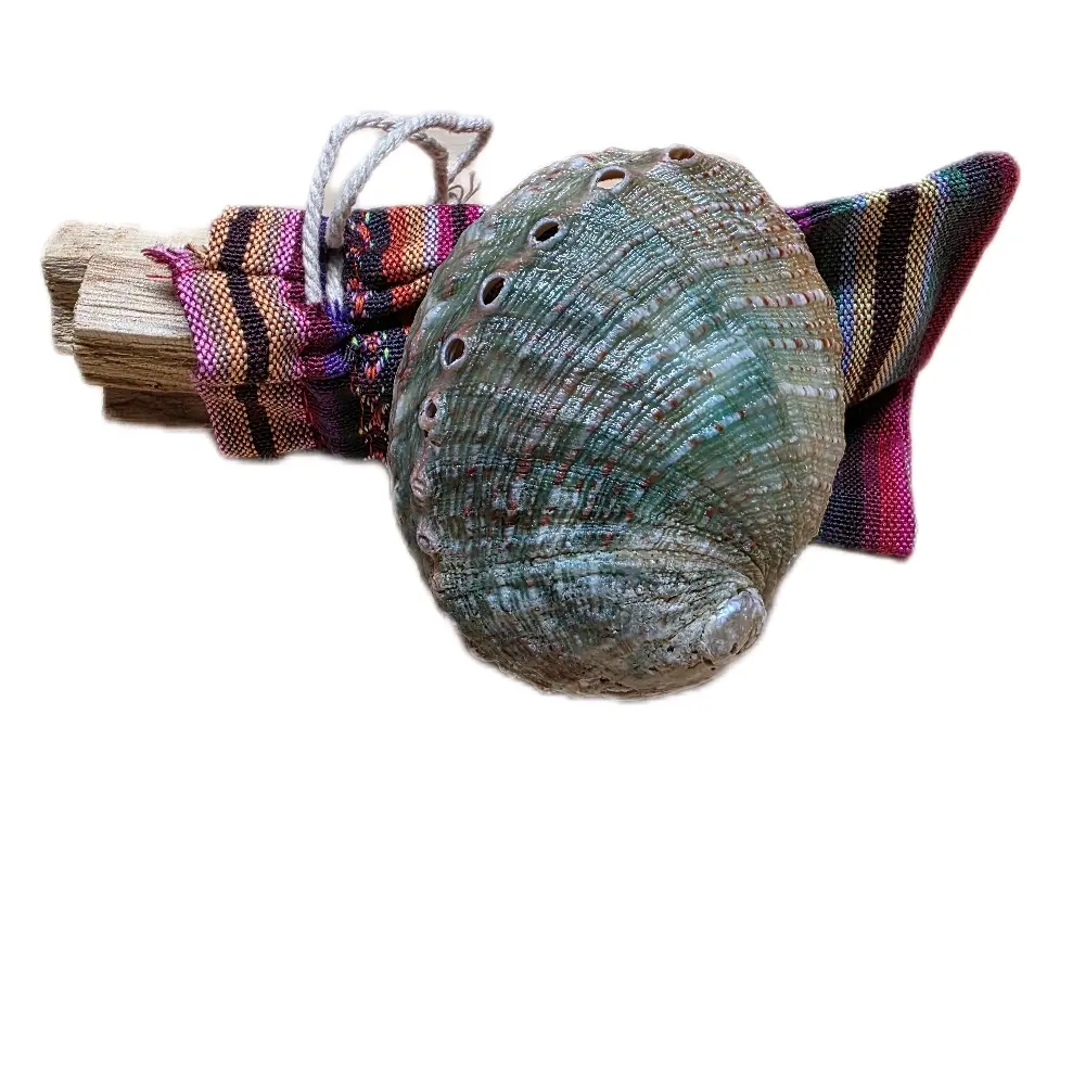 Palo Santo Smudge Sticks 3-Pack with 1 Abalone Sea Shell, Herbal Aroma Stick, Woody Natural Incense for Soothing Home Fragrance, Stress Relief Aromatherapy Cleansing Wood Home Supplies, Calming