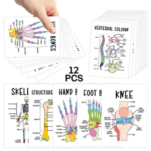 12pcs Bone Anatomy Flashcards - Human Skeleton Diagram Cards, Bone Anatomy Study Cards for Medical Staff - Interactive Learning Cards with Labeled Bones Chart, Study Guide for Exam Prep, Nursing Flashcards