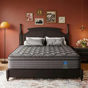 10/12/14 Inch Twin, Full, Queen, King Mattress Memory Foam And Spring, Hybrid MattressMedium Firmness, Lumbar Support, For Home Rooms Hotels, Boxed Halloween ChristmasGift Furniture Ergonomic queen size mattress Interior Modern