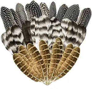 30Pcs Natural Turkey Feathers, 5.3-7 Inch Craft Feathers Pheasant for Hats, 3 Style Mixed Natural Feathers for Carnival Costume Feather Mask Wedding Party Decoration Flower Arrangement