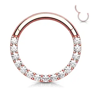 Rose Gold 14g Segment Ring - 10150