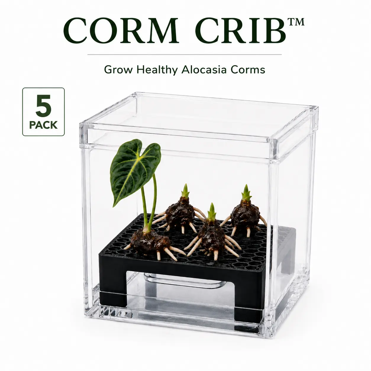 Corm Crib™ — 5-Pack Corm Crib™ — 5-Pack