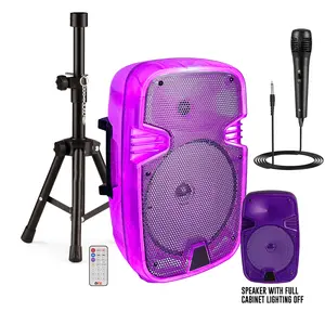 Portable Wireless Bluetooth Rechargeable 8" Speaker Translucent Motion PA Speakers With Colorful Party Lights Microphone Stand FM Radio Remote Control