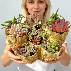 Creative Vintage Tree Stump Planter Pot, Succulent Planter, Small Six-Hole Plant Container for Living Room Bedroom Office Desk Decor, No Plants Included