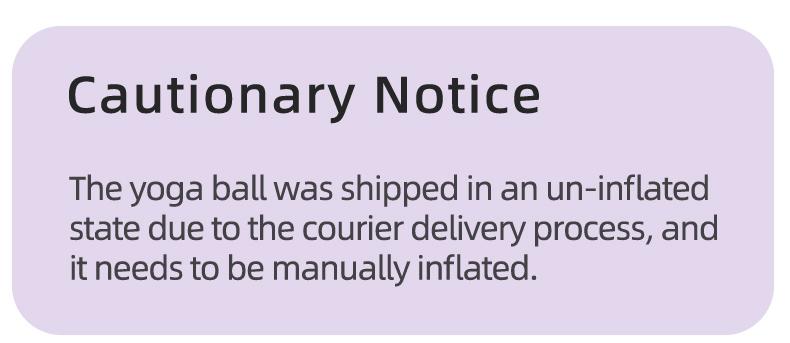 LEXI Small Exercise Ball for Pilates Yoga and Barre Workout Anti Burst Mini Stability Ball for Core Balance Training and Back Support Exercise