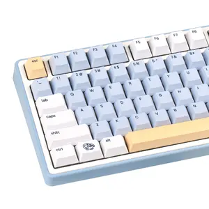 134 Keys Little Penguin PBT Keycaps 5-Side Dye-Sublimation Cherry Profile Custom KeyCaps, Durable Keycap Set for Cherry MX Switches Mechanical Gaming Keyboards (60%/65%/75%/80%/100% Layout) summervibes Ergonomic