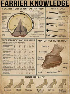 Farrier Knowledge Metal Tin Sign Anatomy Of Horse Hoof Retro Poster Country Farm Club School Education Living Room Kitchen Home Art Wall Decoration Plaque Gift