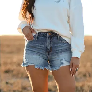 THE PAISLEY DENIM SHORTS