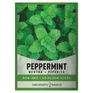 Peppermint Seeds