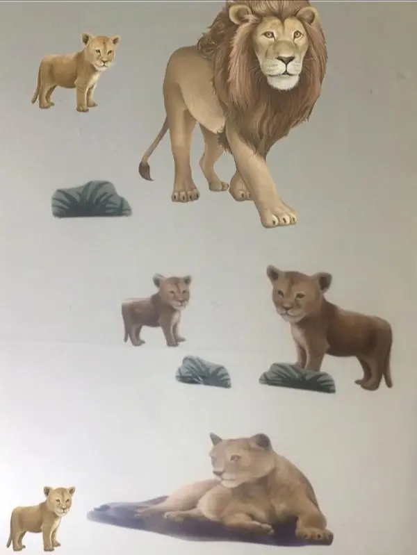 Lion Family Wall Decals for Kids Rooms Realistic Peel and Stick Vinyl Stickers 13 Pieces Decorative Ornaments Easy Installation