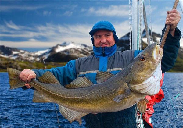 25pcs/set Multi Section Fish Top Water Propeller Bait Simulation Duck Decoy Frog Accessory Set for Sea Bass Freshwater Fishing