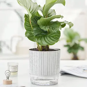 Large Transparent Plastic Flower Pot, Automatic Water Absorption Design, Simple Garden Style, Ideal for Pothos Plants, Lazy Hydroponic Planter
