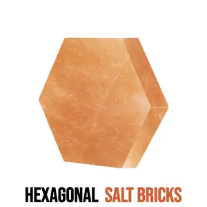 Himalayan Pink Salt Hexagonal Bricks