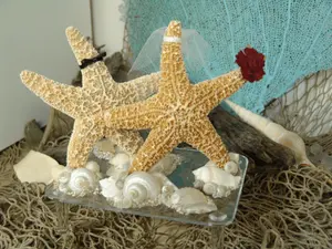 Coastal Beach Wedding Cake Topper- Sugar Starfish Bride and Groom