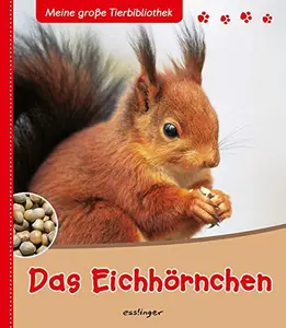 USED-Das Eichhörnchen by Stéphanie Ledu-Frattini (Hardcover)