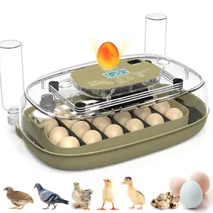24 Egg Incubator Home with Automatic Turning, Temperature & Humidity Control, LED Light, Auto Watering, Ideal for Chicken, Goose, Duck, Pigeon, Turkey Eggs