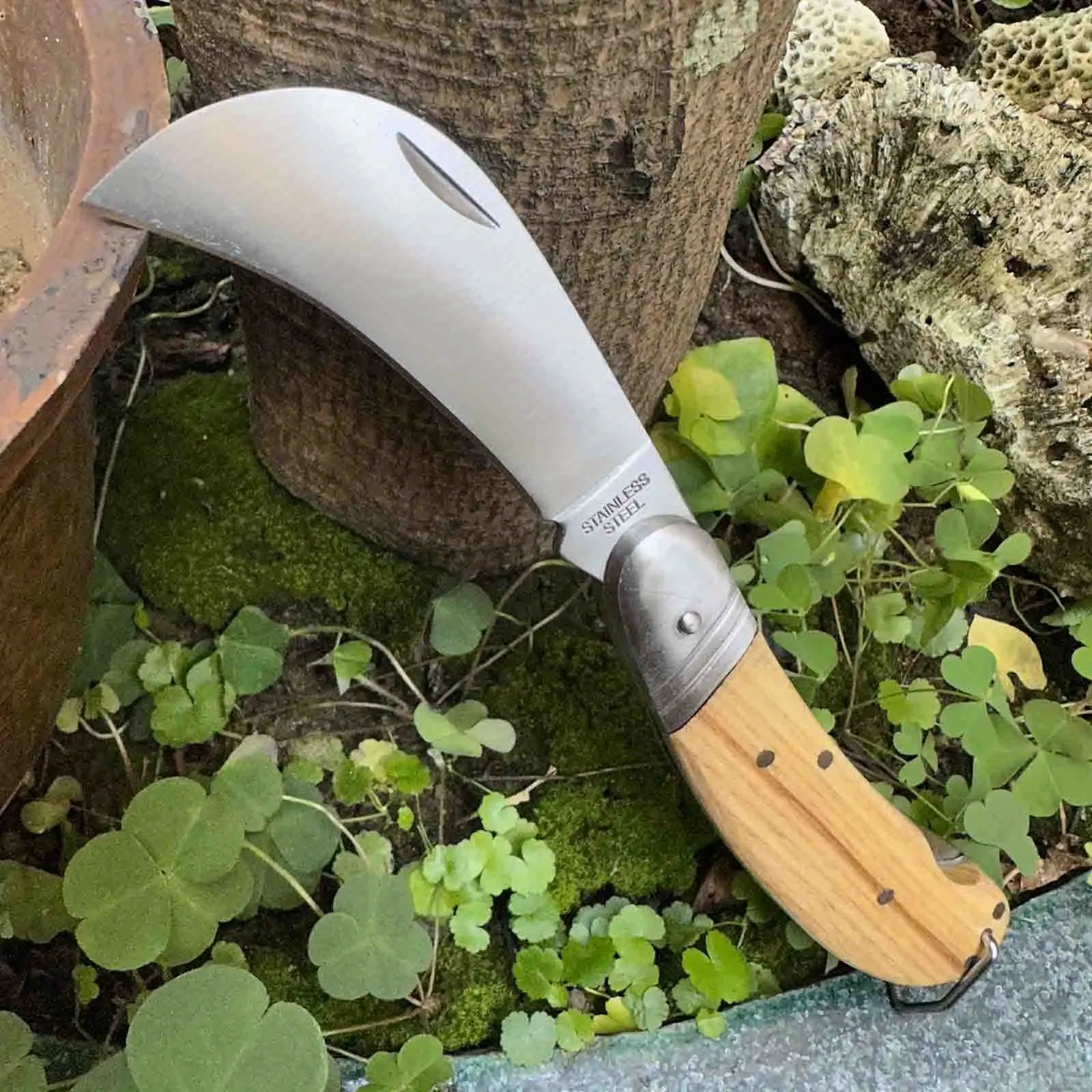 440C Stainless Steel Folding Knife with Wooden Handle, Portable Whittling Knife for Adults, Outdoor Camping and Peeling