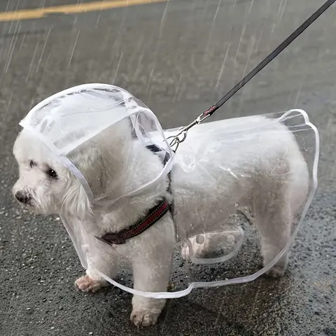 Transparent Waterproof Dog Raincoat, PVC, All-Around Waterproof, Button-Up Design for Small to Medium Breeds, Ideal for Teddy & Bichon Frise, Outdoor Rainy Day Walking Gear, Puppy Poncho