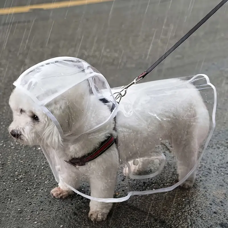 Transparent Waterproof Dog Raincoat, PVC, All-Around Waterproof, Button-Up Design for Small to Medium Breeds, Ideal for Teddy & Bichon Frise, Outdoor Rainy Day Walking Gear, Puppy Poncho