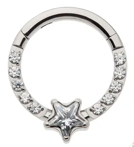 Star Row CZ Titanium Hinged Segment Ring